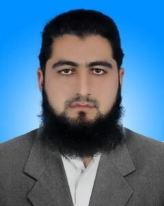 Engineer Maulana Irfan Ali, Director